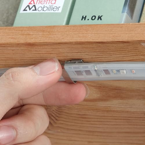 100Pack Two Fixation LED Strip Light Holder Clips for 10-17mm Width IP67/68 | Self Adhesive LED Strip Mounting Clip LED Light Holder Clips LED Tape Light Mounting Bracket With Screws - color: Silver