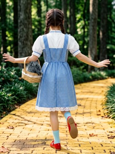 Girls Halloween Blue Gingham Costume | Multi-Piece Set, Book Character Style, Adjustable Front Straps, Puff-Sleeve Dress - color: Blue White (5 Pcs), size: 6 Years
