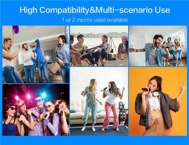 Professional Karaoke Microphone Set, Dual Vocal Pickup, Easy Setup, USB Rechargeable, LED Display, Compatible with Karaoke Machines and More