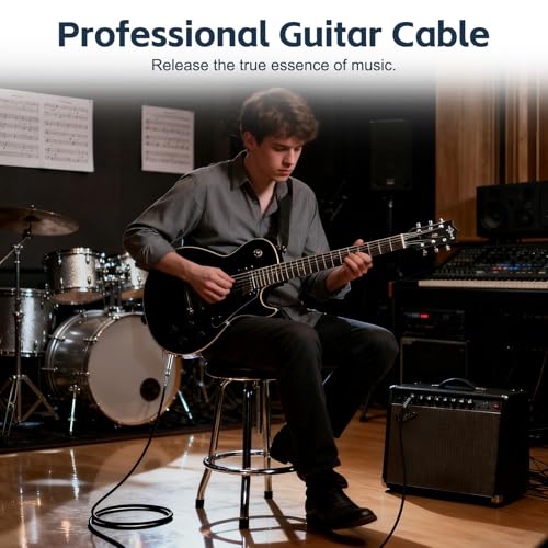 RIVVTA 2 Pack Guitar Cable 10ft Straight Guitar Ampere Cord Nylon Braided - size: 10 ft