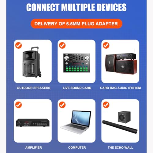 AX322 Professional UHF Wireless Dynamic Microphone Set, Dual Microphones with Rechargeable Receiver, Plug and Play, Suitable for Karaoke and Musical Instruments - color: AX322