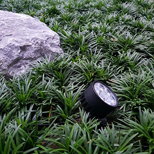 Solar Spot Lights Outdoor Legacy Mini 50X Twin Solar-Powered LED Spotlight (Cool White LED) for Outdoor Garden Yard Landscape Uplight Downlight, Waterproof, Black Finish - size: LEGACY 50X Cool White