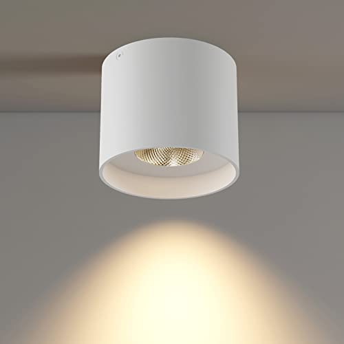 Ceiling Light Fixture, Flush Mount Ceiling Lights LED Dimmable Cylinder Ceiling Light Spot Light for Living Room Hallway Kitchen Dining Room Foyer 3000K 14.5W (White) - color: White 1pack