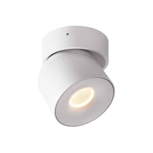 Aisilan 15W LED Dimmable Ceiling Spotlight, Adjustable Directional Surface Flush Mount Lighting, Wall Spot Lights Indoor Accent Fixture for Art Picture Gallery Paintings, 3000K, White - color: White 1 Pcs, size: Upgraded-15W-Dimmable