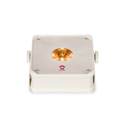 Ape Labs Mini 2+ Ultra Efficient LED Uplighting with Remote (Sold Separately) & 10 Hours Battery Life for Weddings, DJs & Event Lighting - IP65 RGBaW Spotlight with MusikMode & DMX App Control - Solo - color: Creme, size: Solo