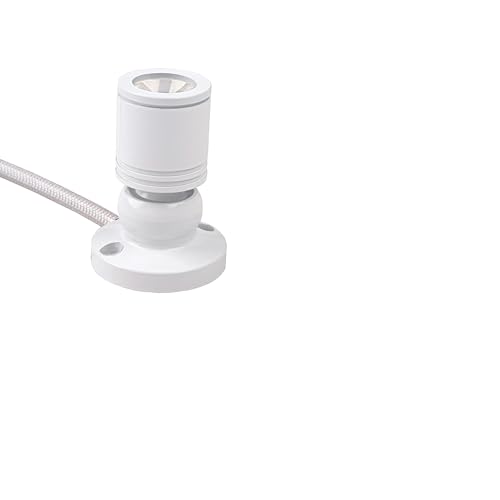 2Pack Mini Spot Light for Display Surface-Mounted 1W Cabinet Spotlights with AC 110V/220V to 3-12V Power Supply LED Driver White Shell Warm-White 3000K - color: Surface-Mounted 3000K