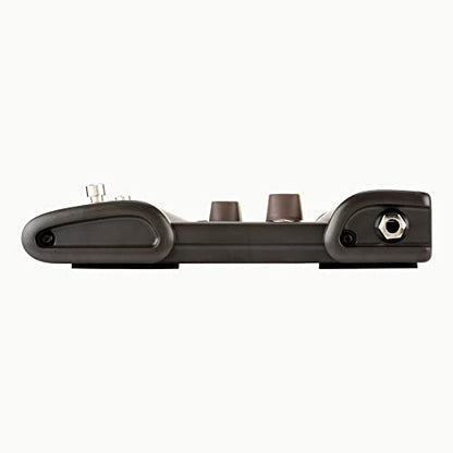 L.R. Baggs Venue DI Acoustic Guitar Preamp Direct Box Studio and Stage Pedal Tonebird Bundle with Cable, Polish Cloth, Dunlop Picks, Tonebird 9V Adapter
