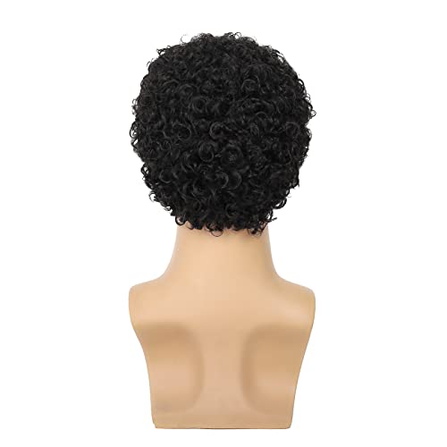Swiking Mens Curly Afro Wigs Short Black Wig for Male Guy Rocker Wig California Halloween Cosplay Costume Full Wigs（Black） - color: Black