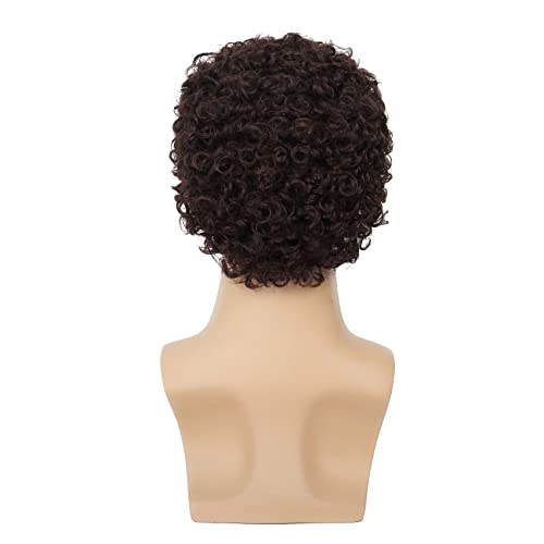 Swiking Mens Brown Afro Curly Wig Rocker Wig Dark Brown Short Hair Replacement Wigs Cosplay Daily Costume Wigs for Male Guy(Dark Brown) - color: Dark Brown
