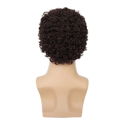 Swiking Mens Brown Afro Curly Wig Rocker Wig Dark Brown Short Hair Replacement Wigs Cosplay Daily Costume Wigs for Male Guy(Dark Brown) - color: Dark Brown