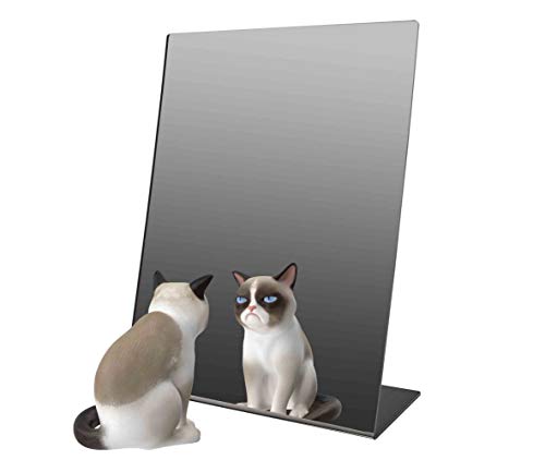 Marketing Holders 4 Pack Acrylic Mirror 9" x 12" Slant Back Reflective Portable Lucite Stand for Retail Jewelry Piercing Counters Makeup Vanities and Hair Salons - size: 9"w x 12"h