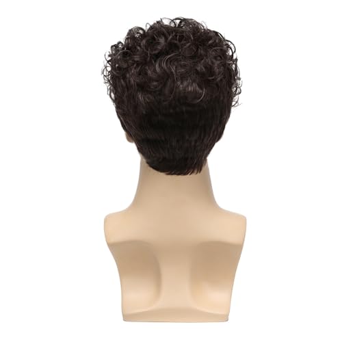 Mens Curly Wigs Dack Brown Short Wig,Synthetic Heat Resistant Costume Wig Mens Daily Cosplay Party Halloween - color: C-Brown