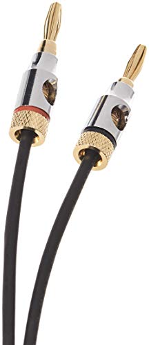 Amazon Basics Banana Plug 16AWG Speaker Cable Wire, CL2 Rated for in-Wall Use, Gold-Plated Banana-Tip Plugs (4mm), Oxygen-Free Copper, 6 Foot, Black (Pack of 2) - size: 6 Foot (Pack of 2)