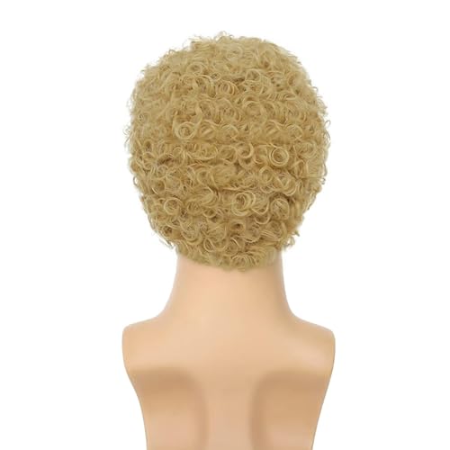Afro Curly Dark Brown Wig for Men Short Synthetic Halloween Cosplay Costume Replacement Hair Wigs - color: B-Blond
