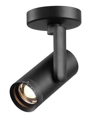 12W LED Dimmable Zoomable Ceiling Spotlight Indoor – Adjustable Beam Angle 10-55° Surface Mount Wired Accent Spot Light for Picture, Plants & Painting | Warm White 3000K CRI 97, Black - color: Black