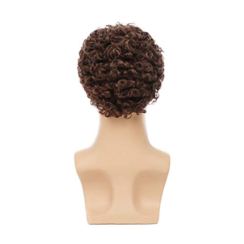 Swiking Mens Brown Afro Curly Wig for Male Guy Rocker Wig California Halloween Cosplay Costume Full Wigs - color: Brown