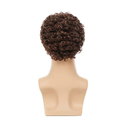 Swiking Mens Brown Afro Curly Wig for Male Guy Rocker Wig California Halloween Cosplay Costume Full Wigs - color: Brown