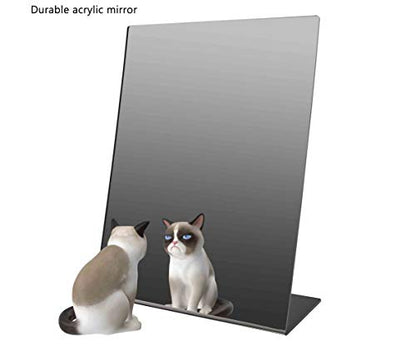 Marketing Holders 4 Pack Acrylic Mirror 12" x 18" Slant Back Mobile Cosmetic Reflective Piece Countertop for Makeup Artists Children Diabetic Foot Checks - size: 12"w x 18"h