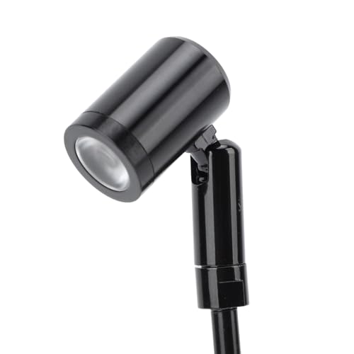 8.3" H LED Upright Mini Spotlight, DC12V Jewelry Showcase Display Lights, Spotlight Up Lights for Painting Picture Plants Jewelry Showcase Model Display Shelves,Black (Netural Light) - color: Black, size: Netural Light