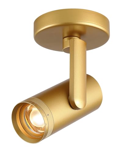 12W LED Gold Directional Dimmable Zoomable Indoor Ceiling Spotlight - color: Gold