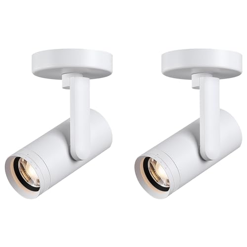 LED Dimmable Zoomable Ceiling Spotlight Indoor – Adjustable Fixture - color: White 2Pcs
