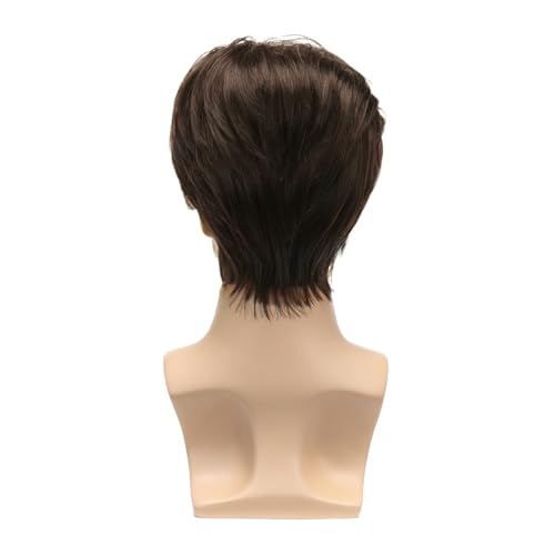 Mens Brown Wig Short Middle Part Straight Synthetic Wigs,Male Wig Daily Cosplay Party Halloween - color: H-Brown