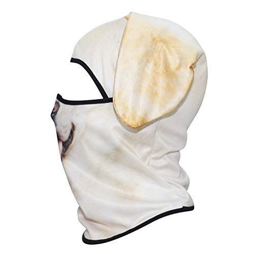 WTACTFUL 3D Animal Ears Balaclava, Breathable Face Mask for Halloween | Stand-Up Ears, Windproof Dustproof, Quick-Dry, No Fade Print, Soft, for Music Festivals Raves Ski Snowboard Moto Party - color: Labrador Retriever Mss-04
