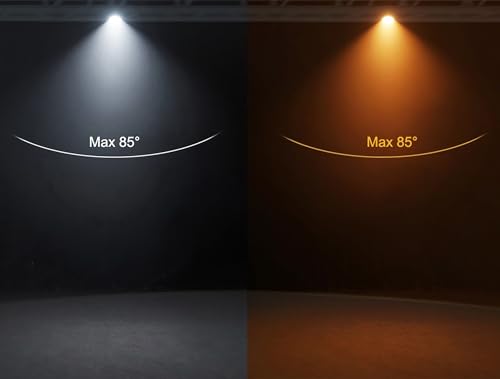 SHEHDS LED COB 200W Par Lights, Cool White and Warm White Stage Wash Lights | 69° Beam Angle, DMX&Sound Actived Control, Aluminum Alloy Shell, Uplights for Disco DJ Church Wedding Concert Show