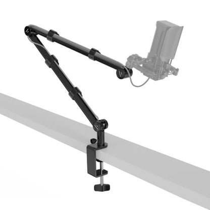 NEEWER BASICS Microphone Boom Arm, 31" Flexible Mic Desk Stand Mount, Compatible with Blue Yeti FIFINE AM8 K669B HyperX QuadCast S SoloCast AT2020 Shure SM7B MV7 for Gaming Streaming Recording, MS050 - style: MS050