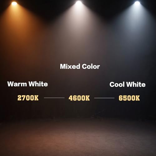SHEHDS LED COB 200W Par Lights, Cool White and Warm White Stage Wash Lights | 69° Beam Angle, DMX&Sound Actived Control, Aluminum Alloy Shell, Uplights for Disco DJ Church Wedding Concert Show