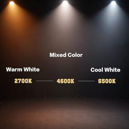 SHEHDS LED COB 200W Par Lights, Cool White and Warm White Stage Wash Lights | 69° Beam Angle, DMX&Sound Actived Control, Aluminum Alloy Shell, Uplights for Disco DJ Church Wedding Concert Show