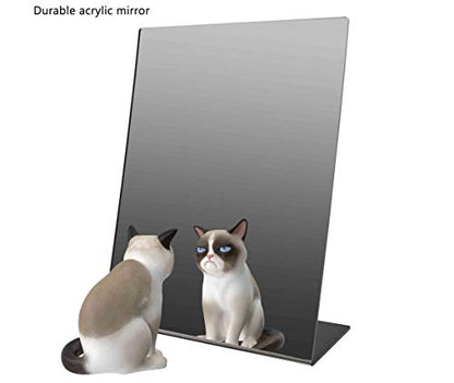 Marketing Holders 4 Pack Acrylic Mirror 9" x 12" Slant Back Reflective Portable Lucite Stand for Retail Jewelry Piercing Counters Makeup Vanities and Hair Salons - size: 9"w x 12"h