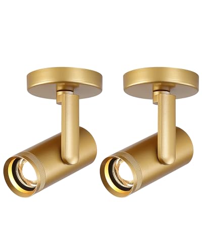 12W LED Gold Directional Dimmable Zoomable Indoor Ceiling Spotlight - color: Gold 2Pcs