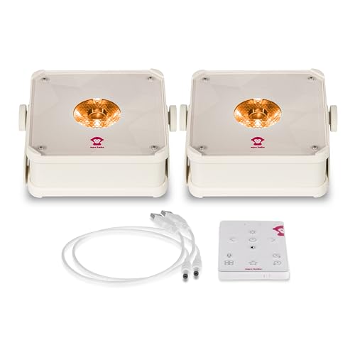 Ape Labs Mini 2+ Ultra Efficient LED Uplighting with Remote & 10 Hours Battery Life for Weddings, DJs & Event Lighting - IP65 Waterproof RGBaW Spotlight with MusikMode & DMX App Control - Set of 2 - color: Creme, size: Set of 2