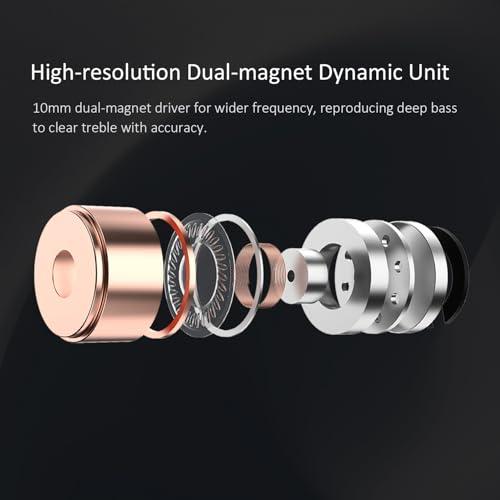 RitMoment IE10 Wired Earbuds - Professional IEM Earphones, Clear Sound & Deep Bass, Dual Magnetic Dynamic Driver, in Ear Monitors for Musicians, Audiophiles & Gamers (3.5mm Plug with Mic, Black) - style: 3.5mm with Mic