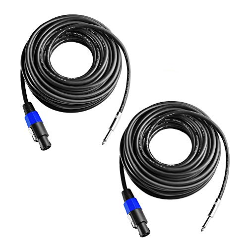 2Pcs 25ft Speakon to 1/4" TS Cable 12AWG Twist Lock Pro Audio Speaker Cord - size: 25Feet-2Pack