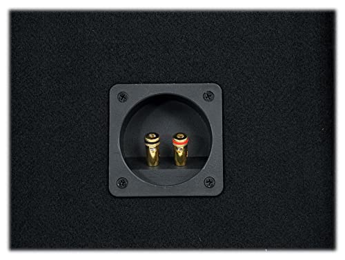 Rockville RV12P 12" 600W Car Audio Subwoofer in Vented Sub Enclosure Box, 4 Ohm, High-Performance Bass, MDF Construction Perfect for Car Audio Systems | 600W Peak / 300W RMS, Polypropylene Cone, Aluminum Voice Coil, Bass Reflex Aero-Port, 15 Degree Angle,