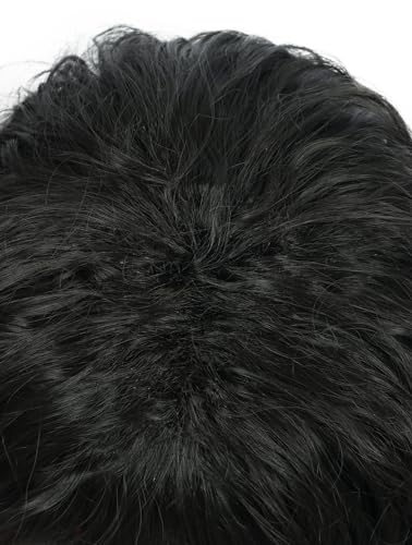 karlery California 70s 80s Rocker Wig Men Women Long Curly Black | Halloween Costume Wig - color: Black