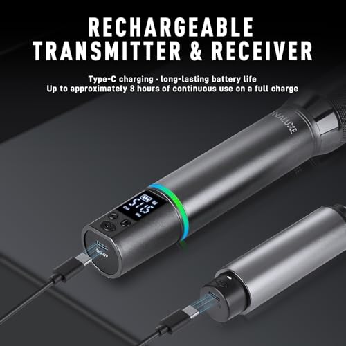 Wireless Microphones, Professional Rechargeable Karaoke Microphone System, Dual Channel UHF All-Metal Portable Mics with 262ft Range for Singing, Speaking, Meetings, Events, Church, Wedding