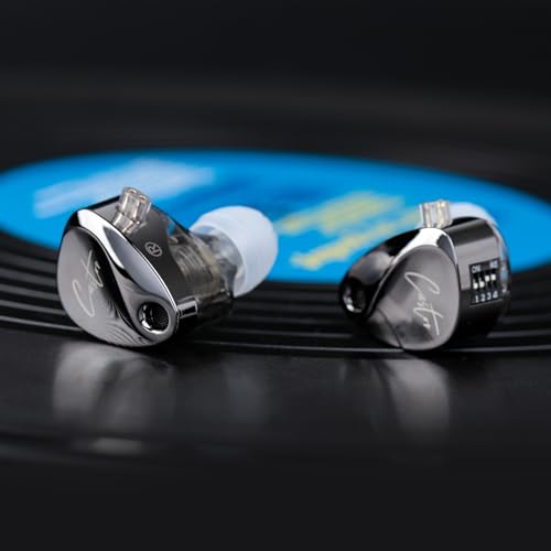 KZ Castor in Ear Monitor Headphones with Mic, HiFi Improved Bass Earphone Sound Tunable Noise Isolating IEMs, Dual-Dynamic Driver Wired Earbuds, 2PIN-C Detachable Cable for Singers Musicians - color: BassBlack, style: with Mic