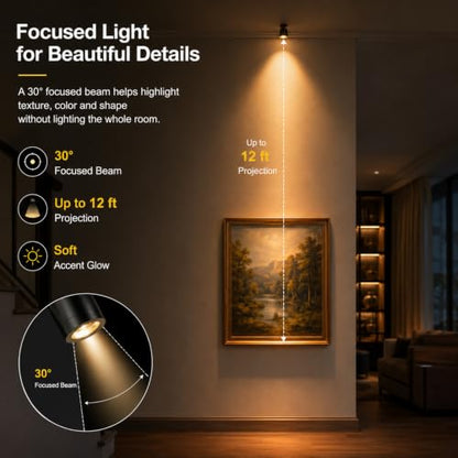 Taysing LED Spot Light Indoor Little Mini Spotlight Accent Lights for Display, Paintings, Pictures, Plants, Jewelry, Shelves, Cabinets, Posters, Showcase(SoftWhite 6 Pack Dimming&Timing) - color: Soft White-6 Pack Smart Switch