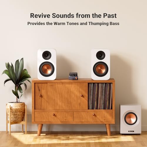 Fosi Audio M04 Subwoofer Amplifier for Home Theater Mono Channel Digital Class D Integrated Power Amp for Passive Speakers Subwoofer