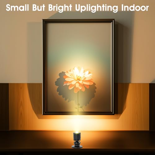 12pcs Warm White Mini LED Spot Lights, 3000K Under Cabinet Lights, Mini Spotlights Display Light for Painting Picture Plants Jewelry Showcase Model Display Shelves ,Pushbutton Switches,U.S. Plugs - color: Warm White