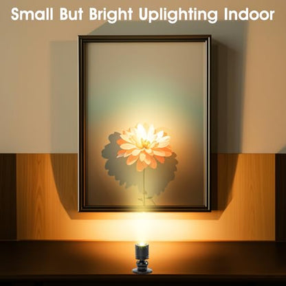 12pcs Warm White Mini LED Spot Lights, 3000K Under Cabinet Lights, Mini Spotlights Display Light for Painting Picture Plants Jewelry Showcase Model Display Shelves ,Pushbutton Switches,U.S. Plugs - color: Warm White