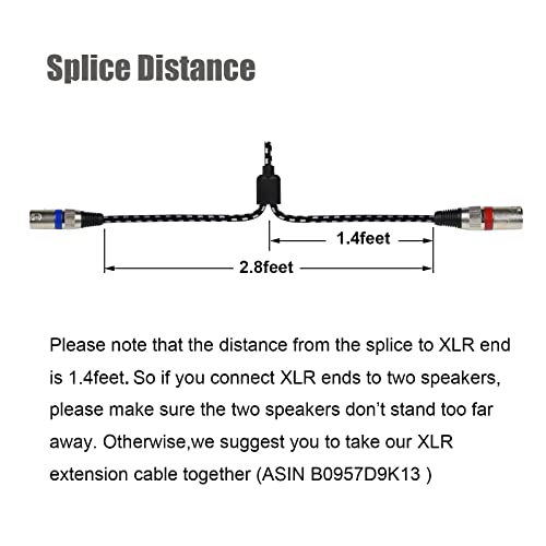 3.5 mm to Dual XLR Male Y Splitter Cable, 10 Feet Stereo 1/8 Mini TRS Headphone Jack to L/R Double XLR Male Aux Cord, Noise Free, Nylon Braided, for Studio Monitor Speaker and Phones