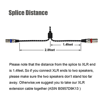 3.5 mm to Dual XLR Male Y Splitter Cable, 10 Feet Stereo 1/8 Mini TRS Headphone Jack to L/R Double XLR Male Aux Cord, Noise Free, Nylon Braided, for Studio Monitor Speaker and Phones