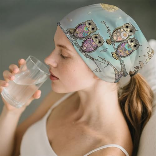 Art Owl Women's Slouchy Beanie Hat Cute Turban Hats Cancer Headwear Caps Baggy Skull Sleep Scarf - color: Art Owl