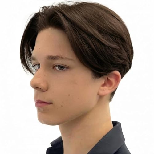 Mens Brown Wig Short Middle Part Straight Synthetic Wigs,Male Wig Daily Cosplay Party Halloween - color: H-Brown