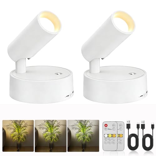 Spot Lights Indoor 5500mAh with Timer, Plant Spot Light Indoor with Remote & 3CCT Dimmable, LED Display Lights Picture Lights for Young, Adults, Women, Tenants, White(2 Pack) - color: 2 x White