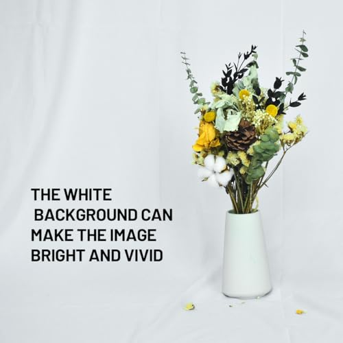 White Backdrop Background 10 X 7 FT Large Photography Backdrop Photo Photoshoot Background Screen for Photography Photo Booth Backdrops Parties Curtain - color: White, size: 10*7
